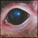 Augenblick eines Agutis; Acryl auf Leinwand;
30 x 30 cm